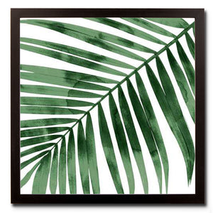 Tropical Palm 1