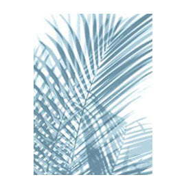 Aqua Palm 1