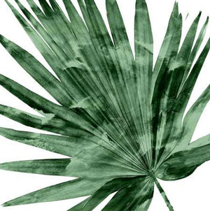 Tropical Palm 4